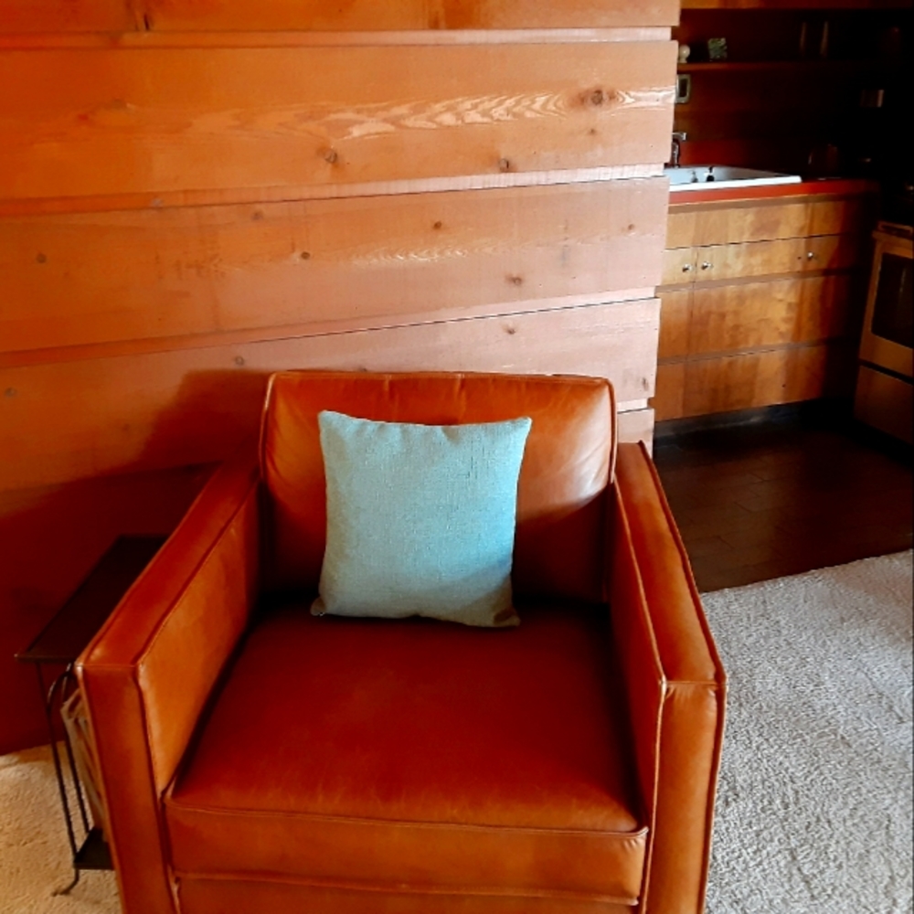 Throw Pillow Teal/Turquois Color